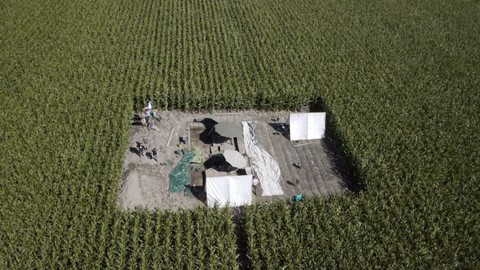 archaeological site of Germanic harbor town Nordkehdingen 