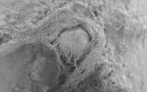 neanderthal string discovery abri-du-maras, france