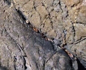 palaeolithic stone splinters intetionally placed in a crack