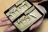 sea-eagle talons used by Neanderthals for jewelry 130,000 y ago.