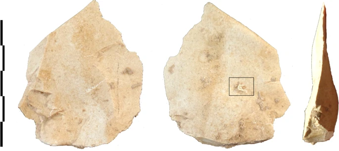 neanderthal - abri du maras - levallois flake with fragment of string