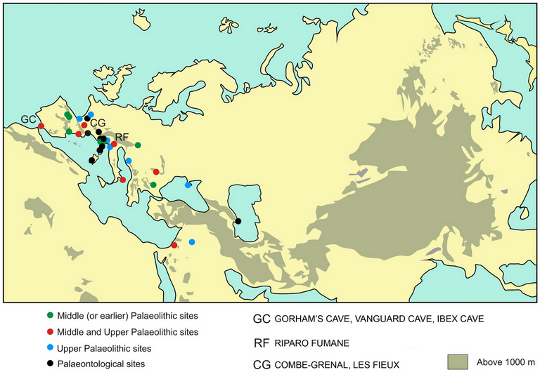 finds of neanderthal and bird remains