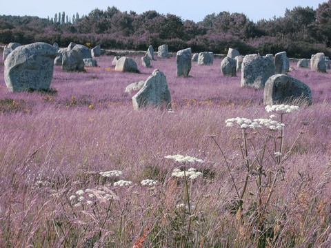 Carnac alignments - 2008