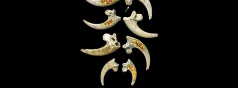 neanderthal jewel of white-tailed eagle talons from Krapina Croatia 