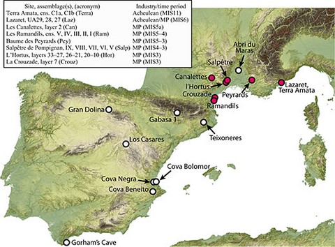 neanderthal_rabbit bones finds