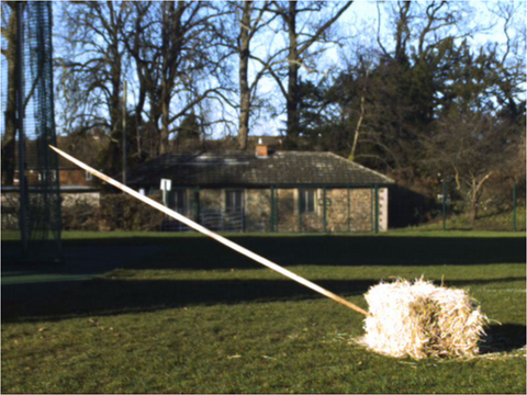 neanderthal spear (reconstructed) hitting target - accurate and letal