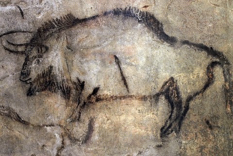 salon noir, niaux cave - magdalenian - bison - france