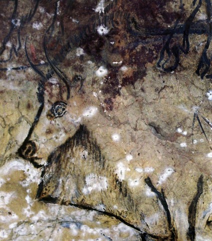 salon noir, niaux cave - palaeolithic - magdalenian - france