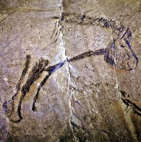 salon noir, niaux cave - magadalenian - horse