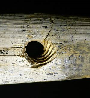 40,000 y old rope-making tool, grooves, Hohle Fels cave, Germany 