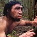 homo erectus credit yale university