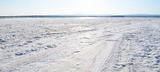 Cyprus salt lake