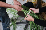 making rope using 40,000 ice age tool