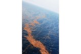 Fukushima debris floting on Pacific